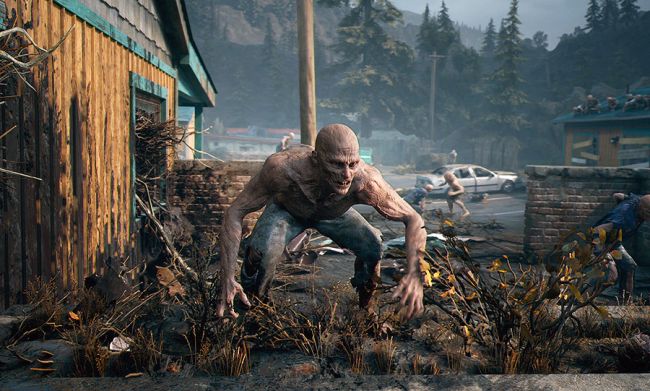 Days Gone