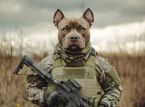 Cachorro dispara acidentalmente na espingarda e fere mulher em Nebraska