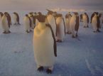 Estão abertas as inscrições para uma vaga nos Correios da Antártida