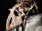 F&oacute;ssil de T-Rex esperado para ser vendido por milh&otilde;es em leil&atilde;o, mas os cientistas n&atilde;o est&atilde;o satisfeitos